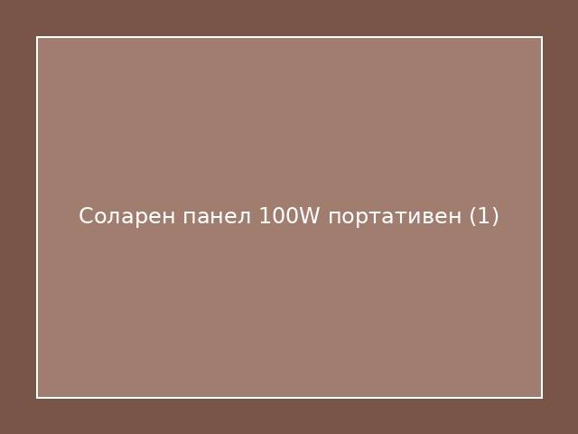 Соларен панел 100W портативен