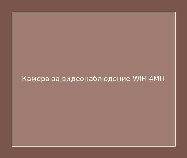 Камера за видеонаблюдение WiFi 4МП