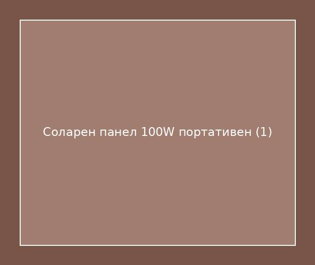 Соларен панел 100W портативен