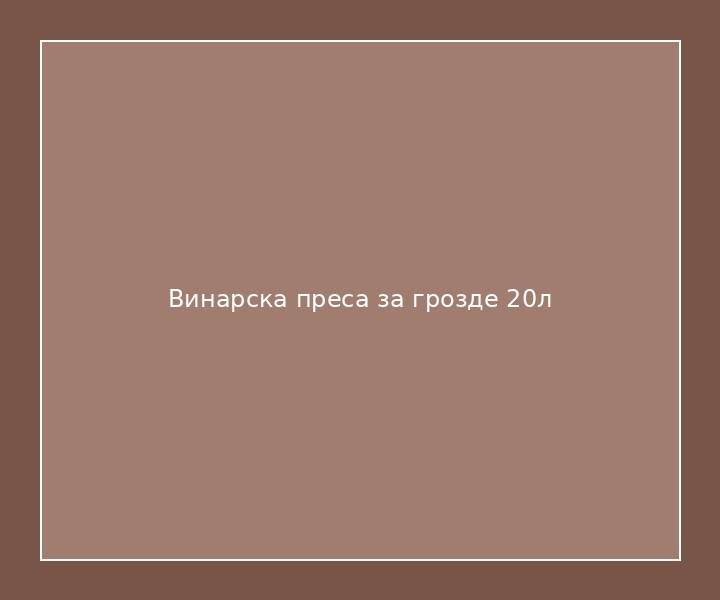 Винарска преса за грозде 20л