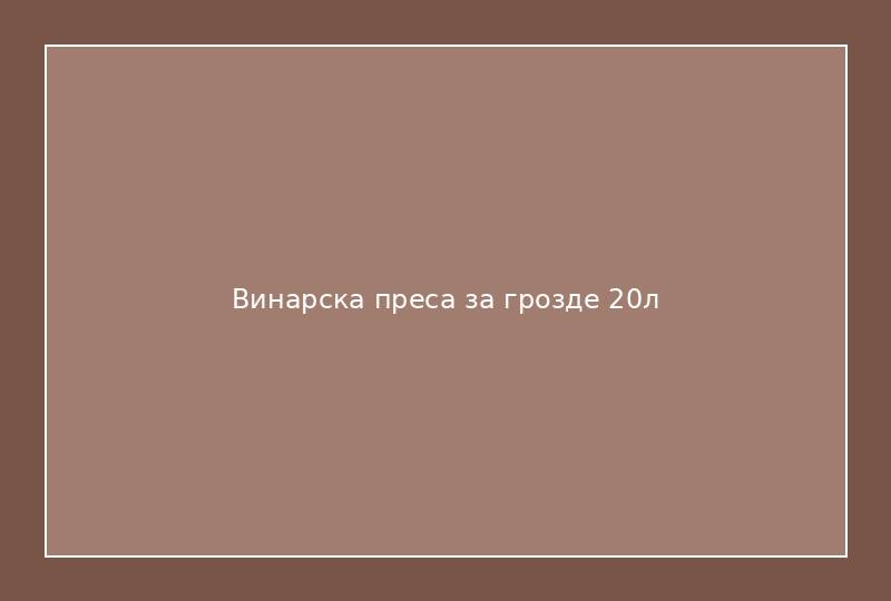 Винарска преса за грозде 20л