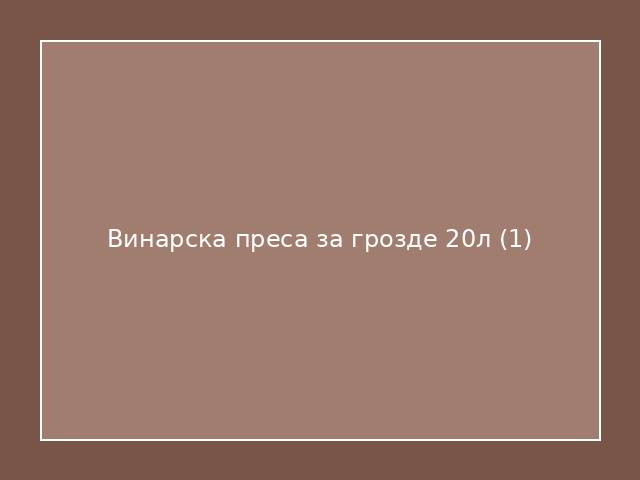 Винарска преса за грозде 20л