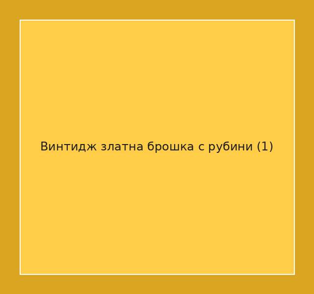 Винтидж златна брошка с рубини