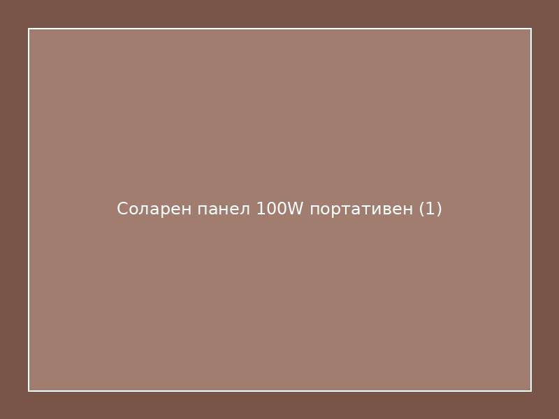 Соларен панел 100W портативен