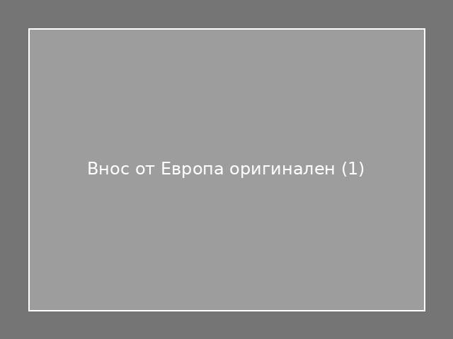 Внос от Европа оригинален
