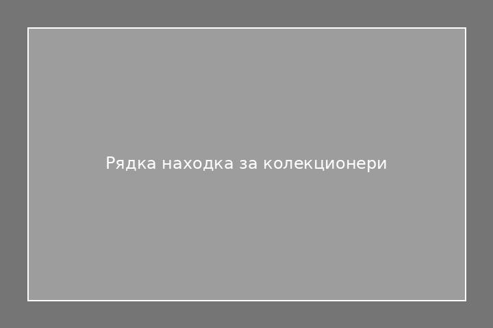 Рядка находка за колекционери