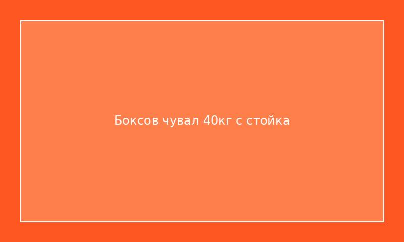 Боксов чувал 40кг с стойка