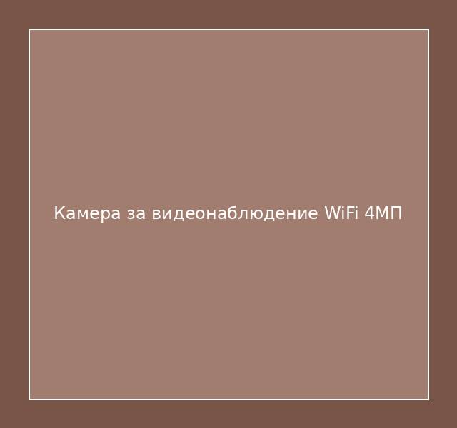 Камера за видеонаблюдение WiFi 4МП