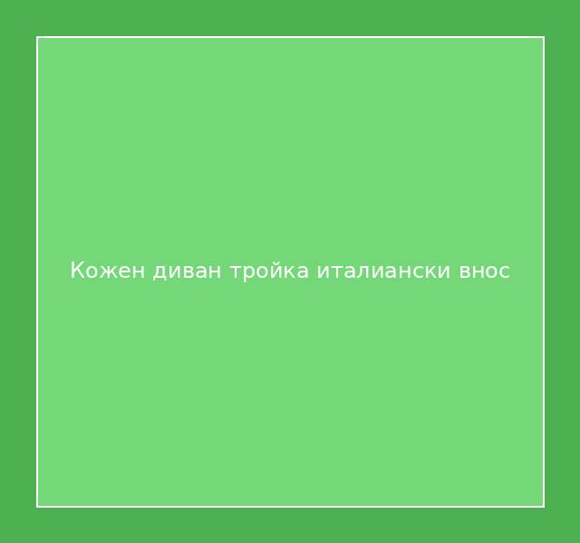 Кожен диван тройка италиански внос