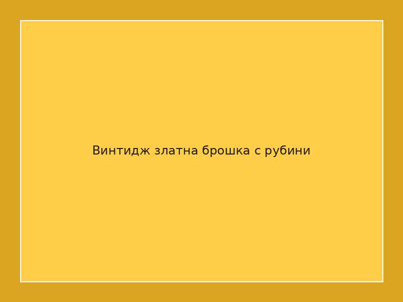 Винтидж златна брошка с рубини