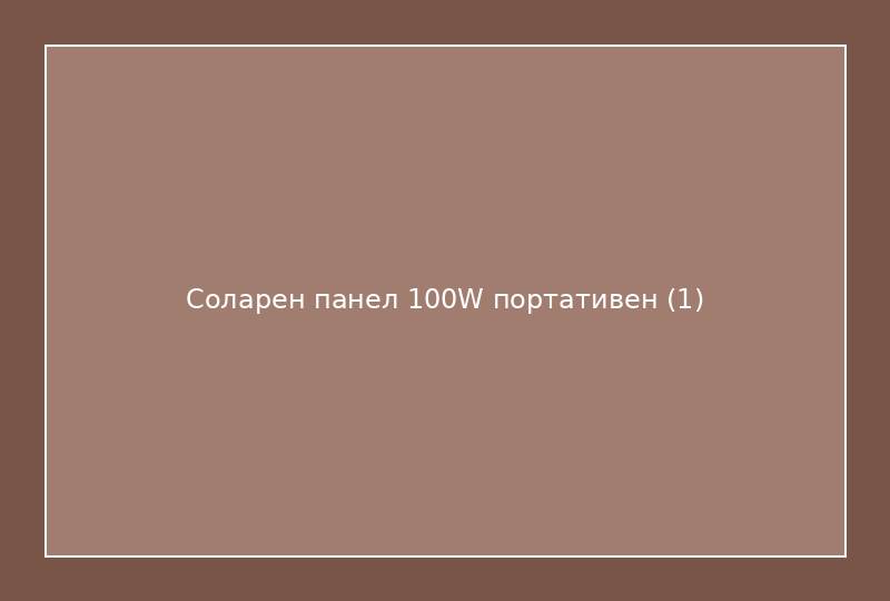 Соларен панел 100W портативен