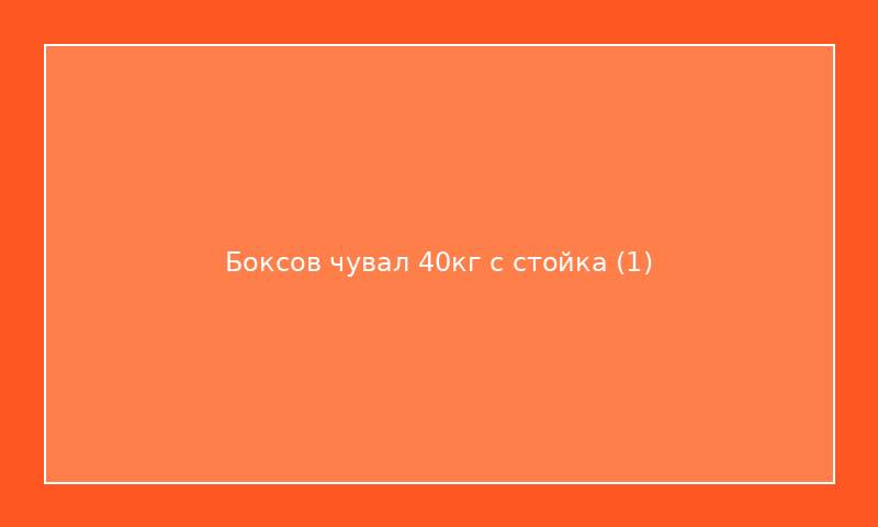 Боксов чувал 40кг с стойка