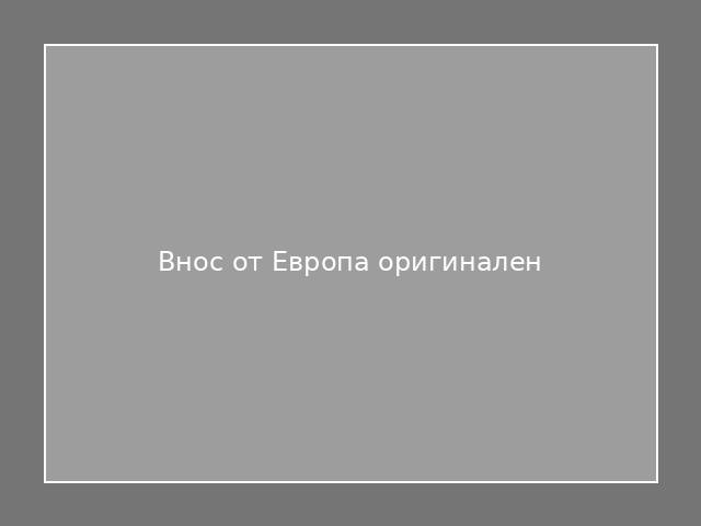 Внос от Европа оригинален