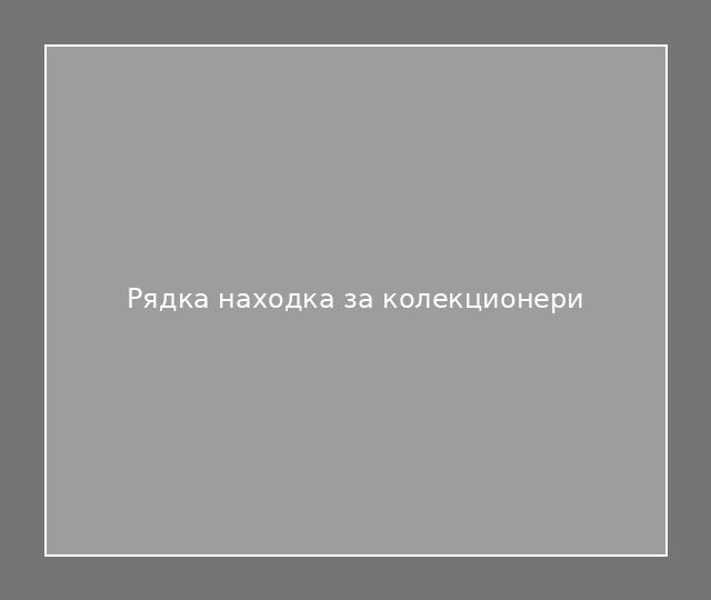 Рядка находка за колекционери