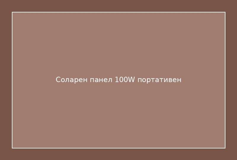Соларен панел 100W портативен