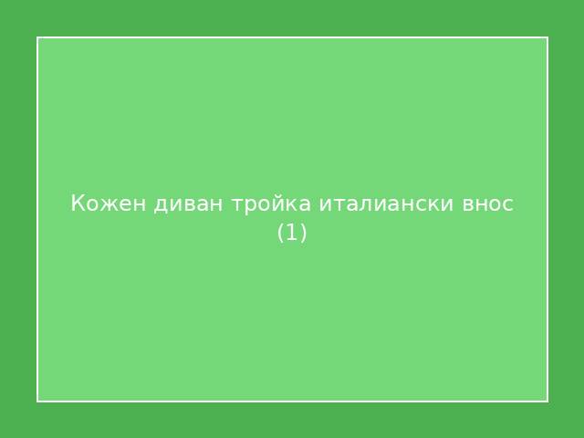Кожен диван тройка италиански внос