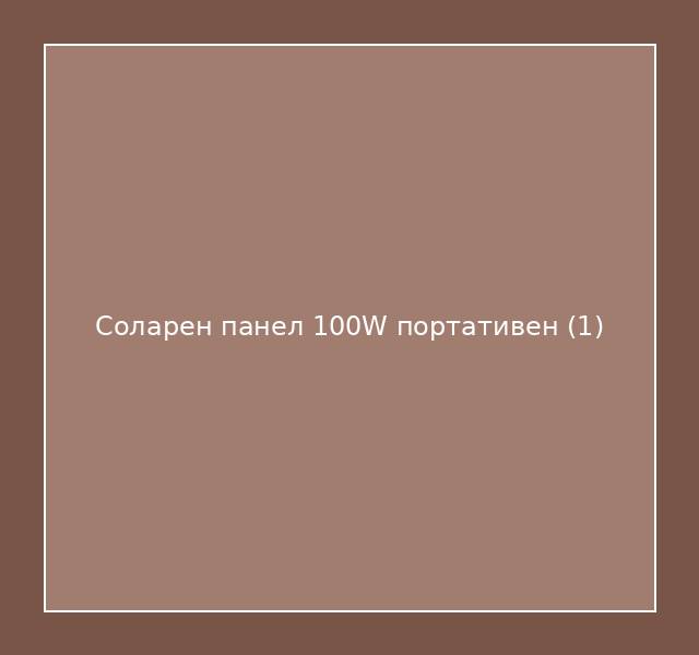 Соларен панел 100W портативен